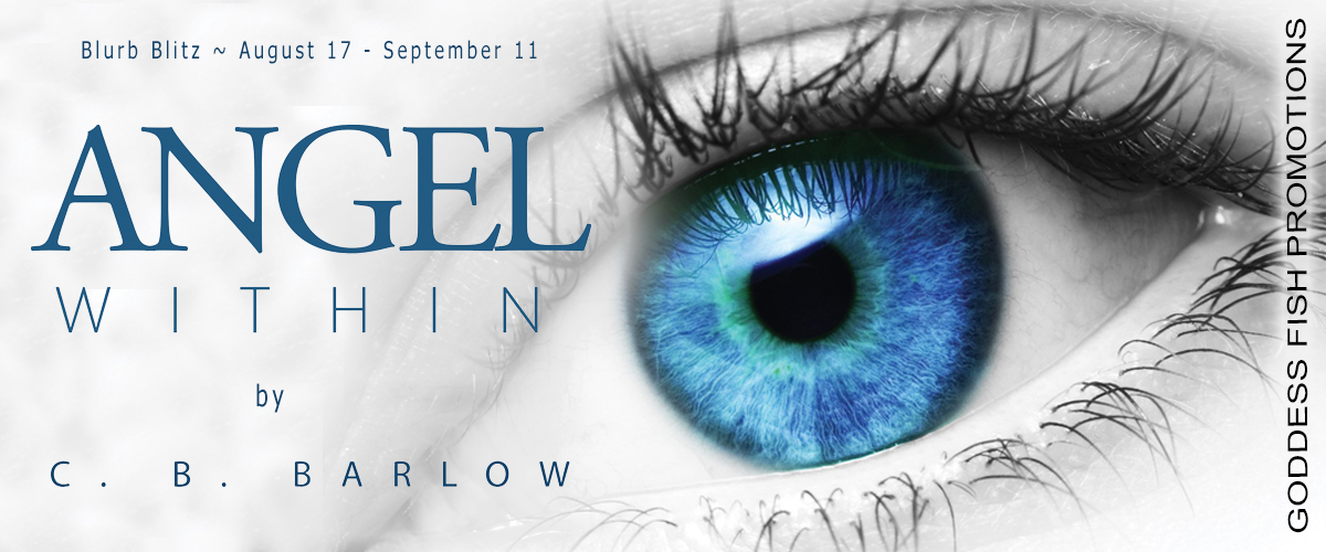 Angel Within Tour Banner