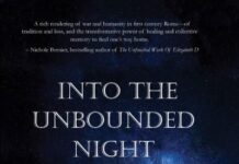 BOOK BLAST: INTO THE UNBOUND NIGHT by Mitchell James Kaplan Into the Unbound Night