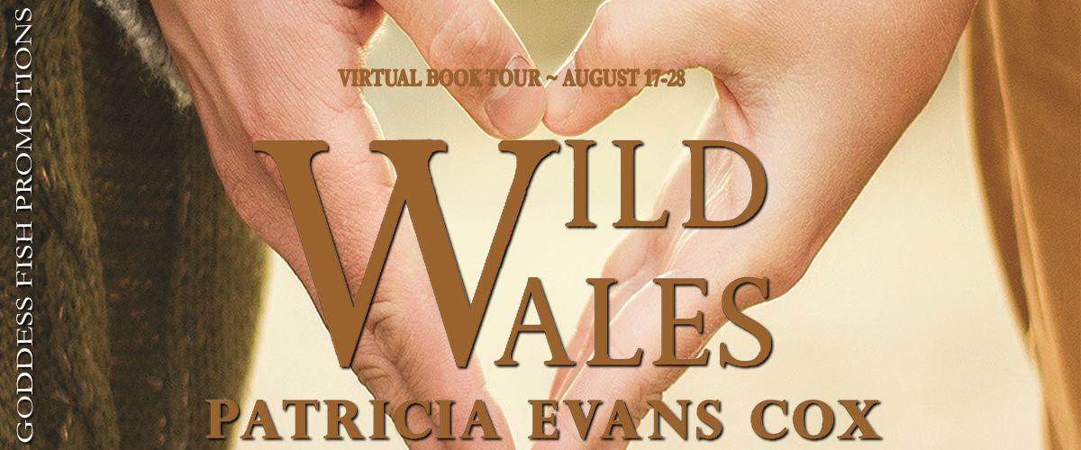 Wild Wales Tour Banner