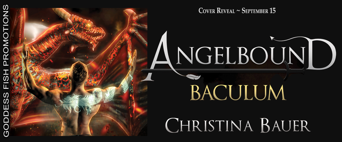 Baculum-Tour Banner