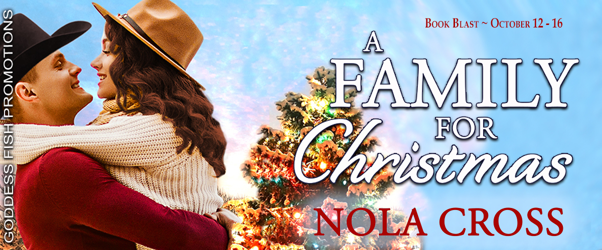 A Family for Christmas-Tour Banner