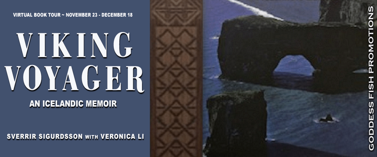Viking Voyager Tour Banner