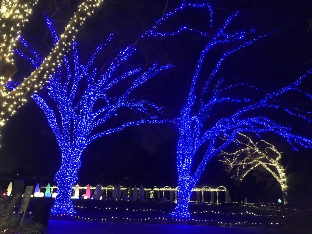 Botanical Garden Lights-2