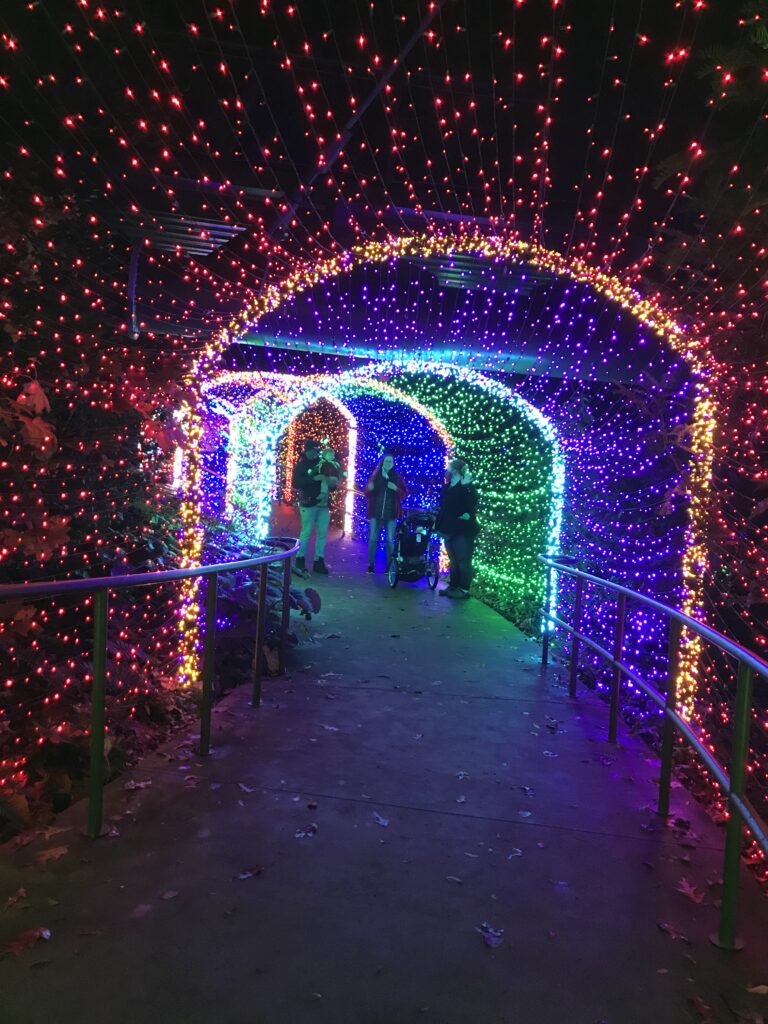 Botanical Garden Lights-3