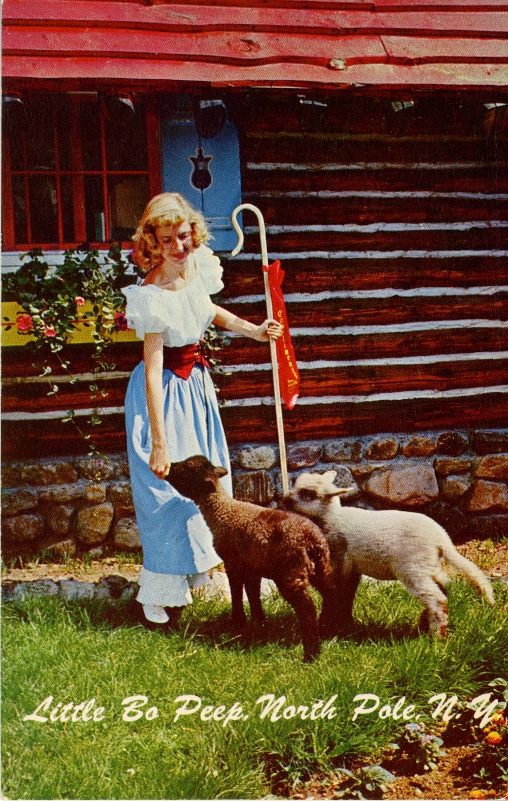 Little Bo Peep, Vintage Postcard, circa 1950s