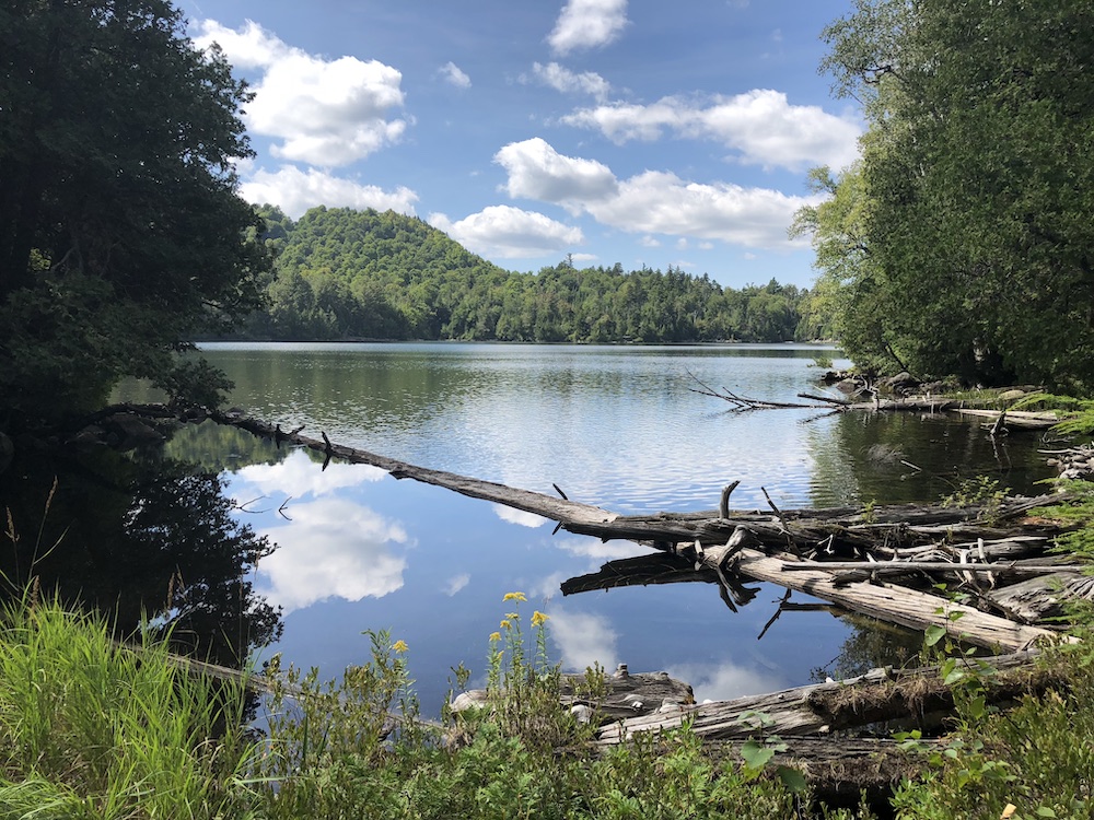 Copperas Pond by David Fitz-Gerald, September 4, 2018