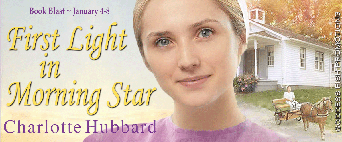 First Light in Morning Star Tour Banner