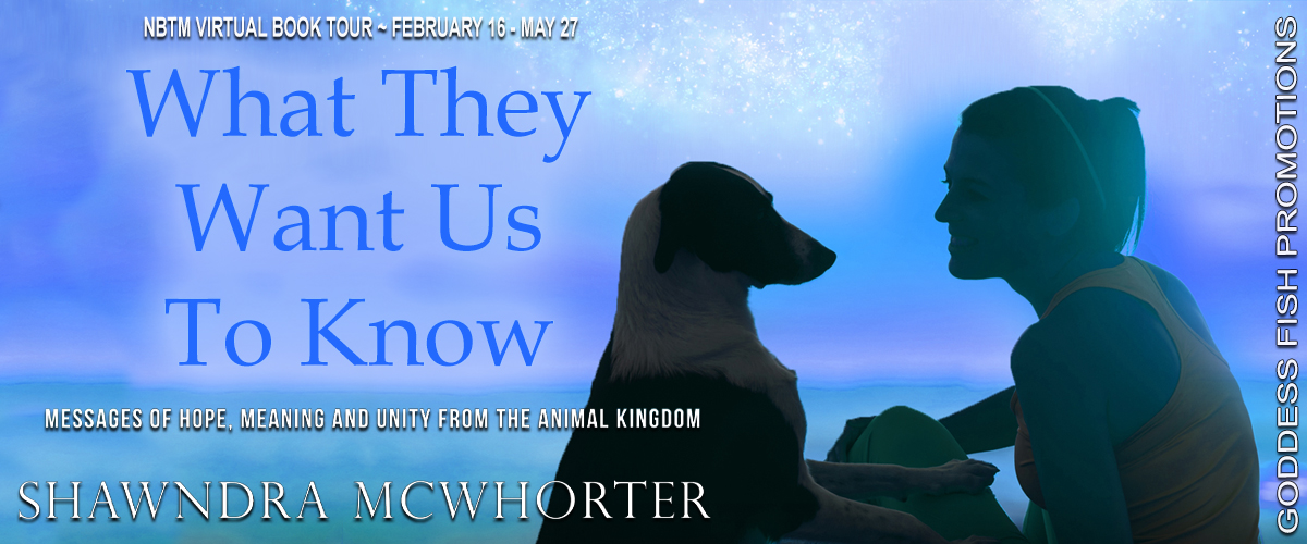 What They Want Us to Know Banner