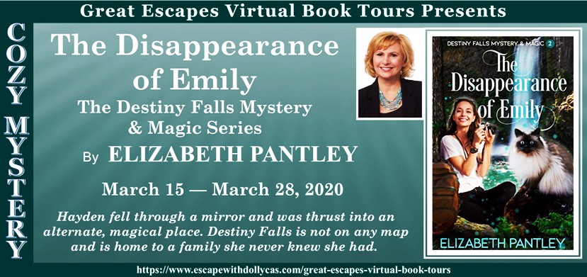 The Disappearance of Emily Banner