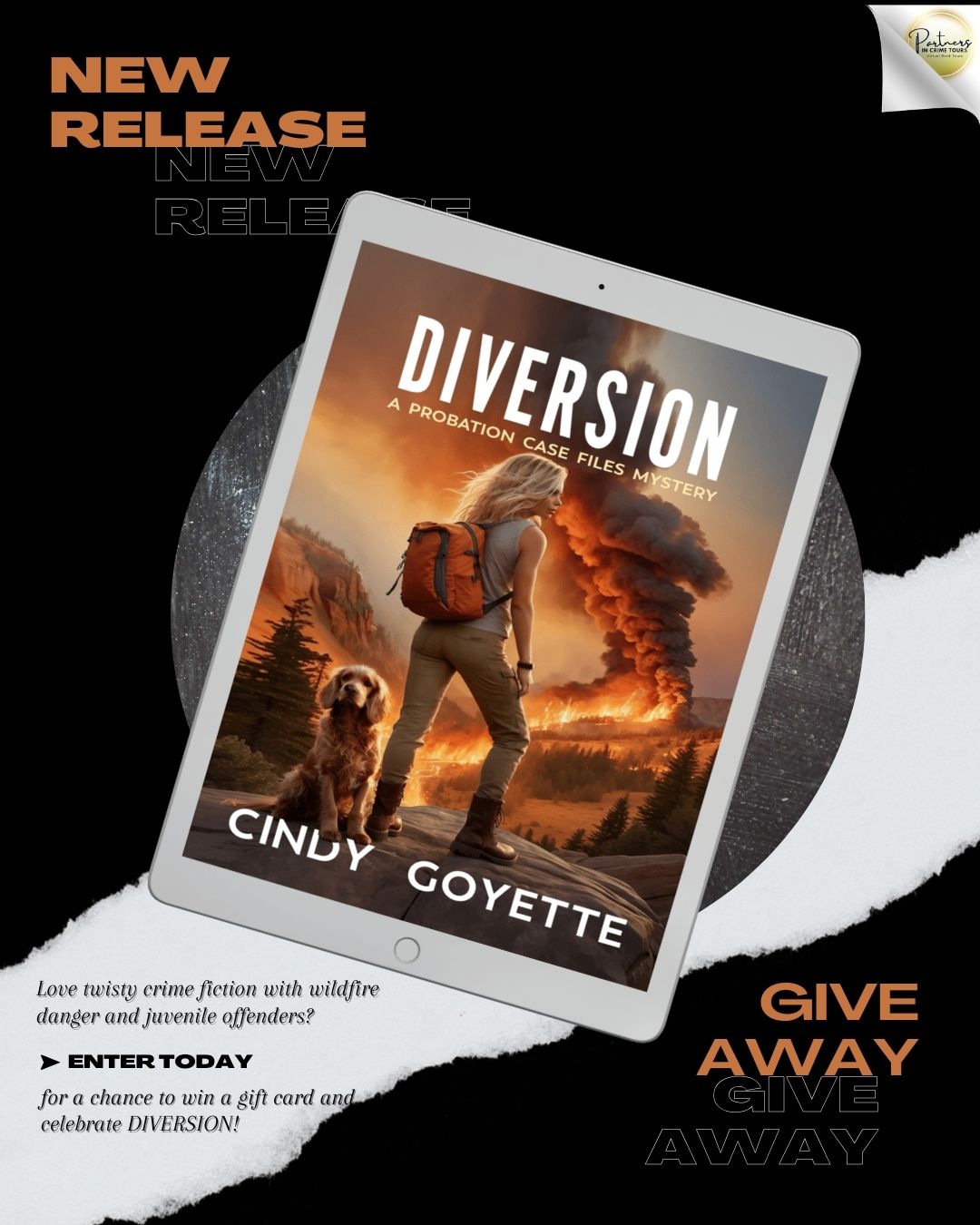 Novels Alive | SPOTLIGHT: DIVERSION by Cindy Goyette Plus Giveaway!