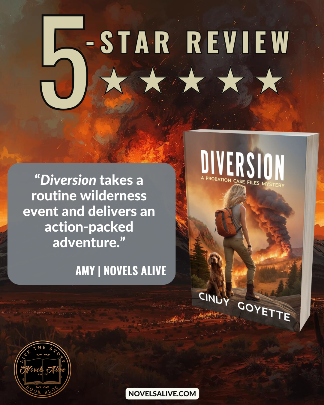Novels Alive | 5-STAR REVIEW: DIVERSION by Cindy Goyette