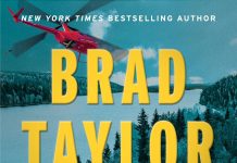 5-STAR REVIEW: SHADOW STRIKE by Brad Taylor