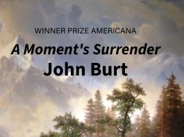 4-STAR REVIEW: A MOMENT’S SURRENDER by John Burt