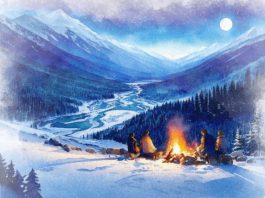 5-STAR REVIEW: FINCH AND HAWK by Alona Umansky and Aleksey Linetskiy